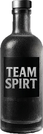Team Spirt
